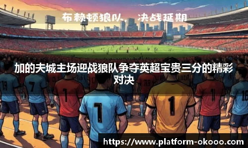 加的夫城主场迎战狼队争夺英超宝贵三分的精彩对决